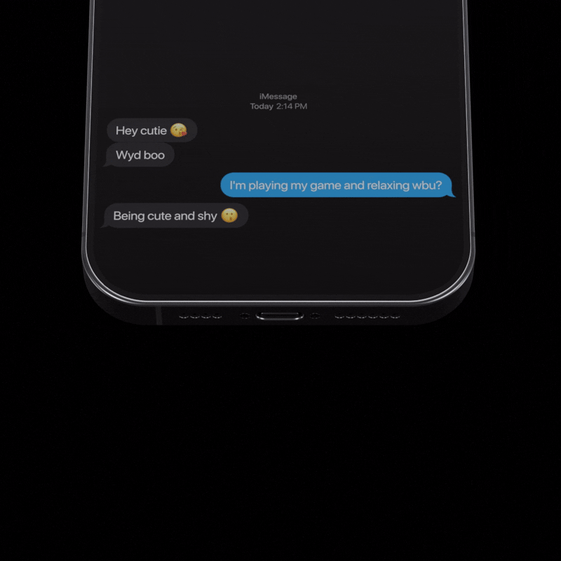 iBuilder